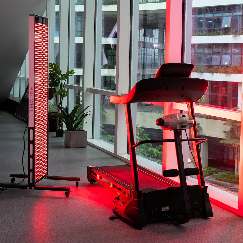 Mitowell MW3000 PRO — 648 LED, 160 cm — náhled 2